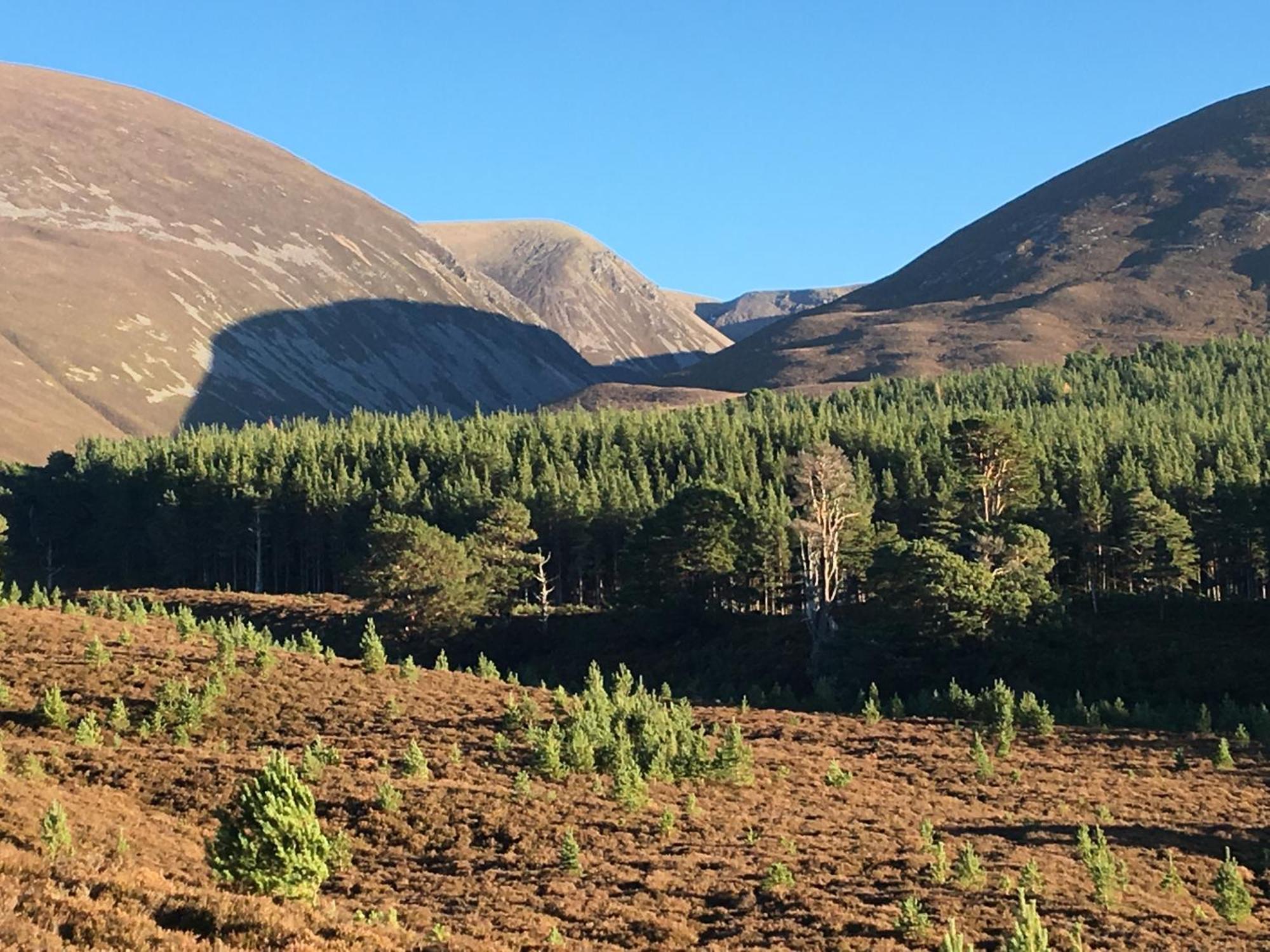 Glenfeshie Hostel Insh Bagian luar foto