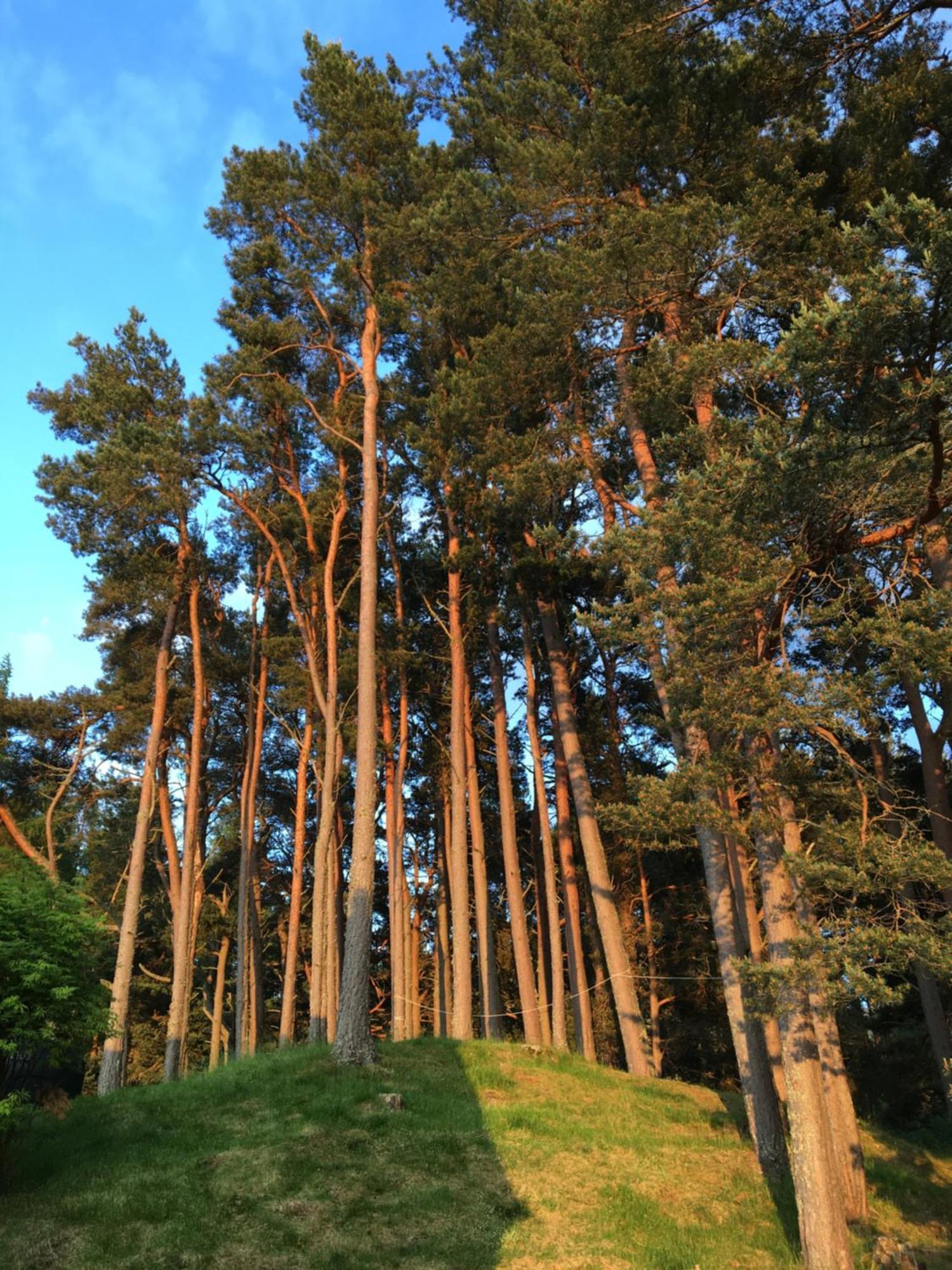 Glenfeshie Hostel Insh Bagian luar foto