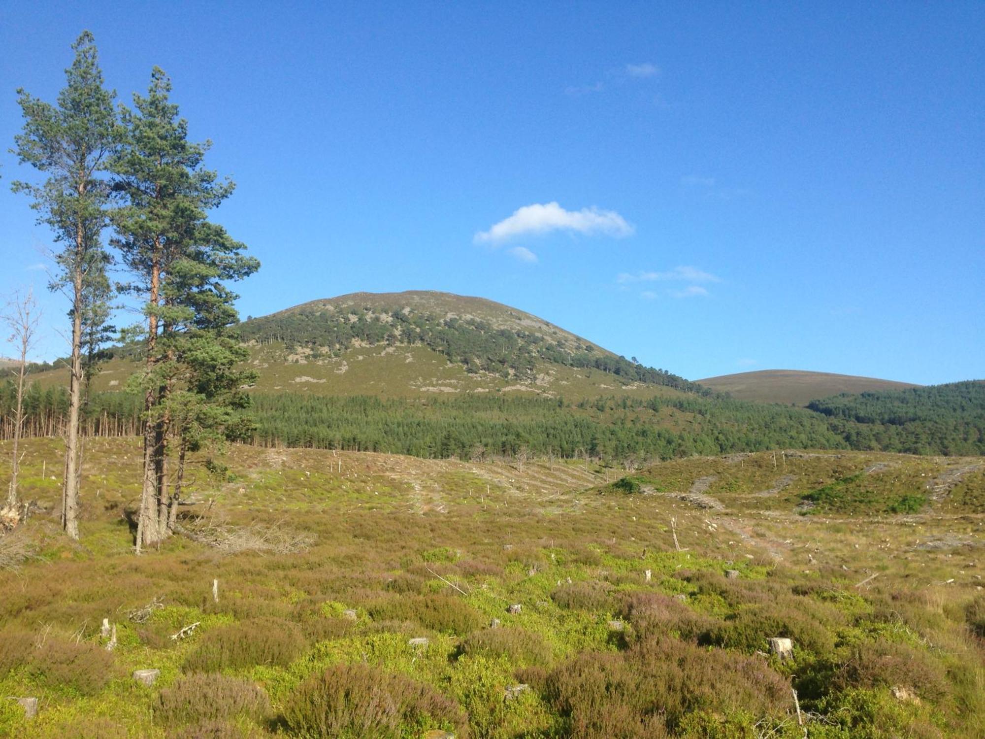 Glenfeshie Hostel Insh Bagian luar foto