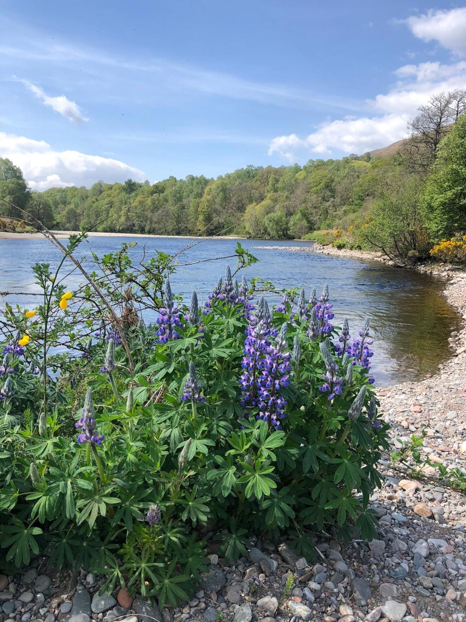 Glenfeshie Hostel Insh Bagian luar foto